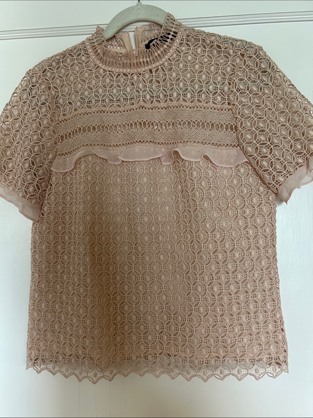 Zara Lace Short-Sleeve Blouse in Blush